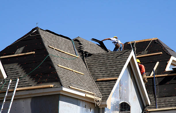 Best Roof Repair Services  in Carter Lake, IA