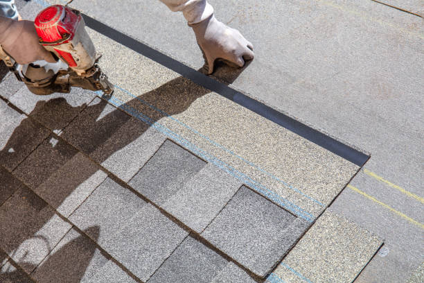 Best Roof Waterproofing Services  in Carter Lake, IA